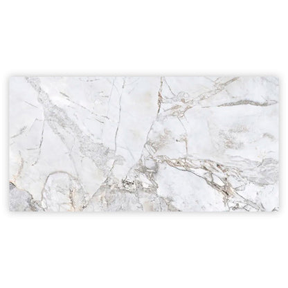 Pale Gray 24x48 Polished Porcelain Large Format Tile (2 pack, 15.5 sq ft/case) - Sample