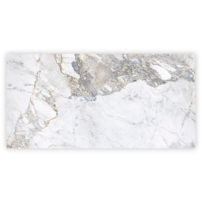 Pale Gray 24x48 Polished Porcelain Large Format Tile (2 pack, 15.5 sq ft/case) - Sample