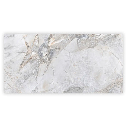 Pale Gray 24x48 Polished Porcelain Large Format Tile (2 pack, 15.5 sq ft/case)