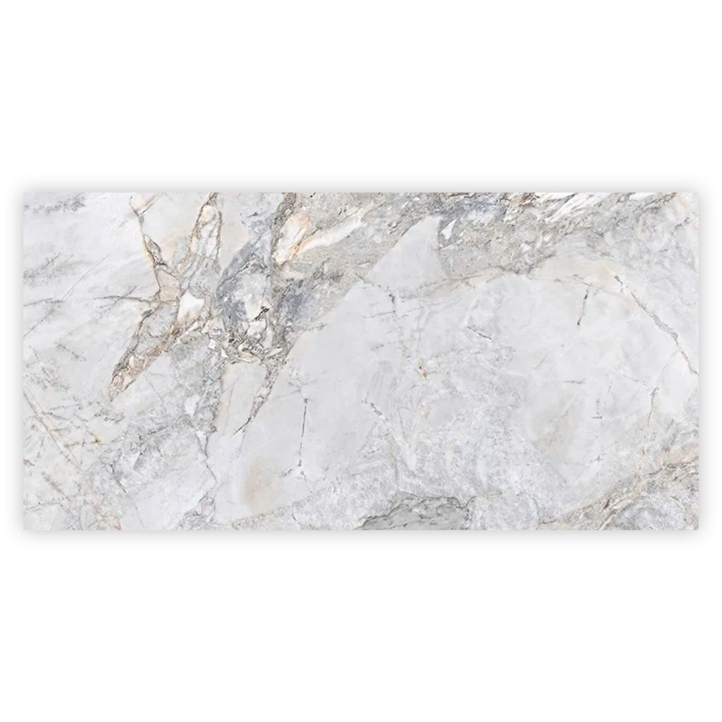 Pale Gray 24x48 Polished Porcelain Large Format Tile (2 pack, 15.5 sq ft/case) - Sample