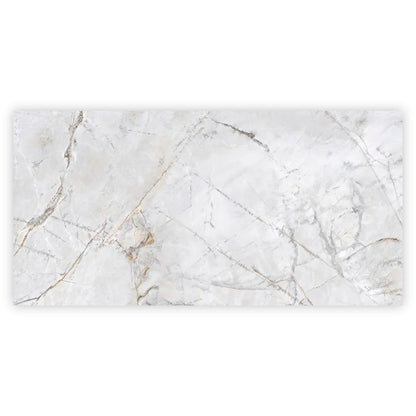 Pale Gray 24x48 Polished Porcelain Large Format Tile (2 pack, 15.5 sq ft/case)