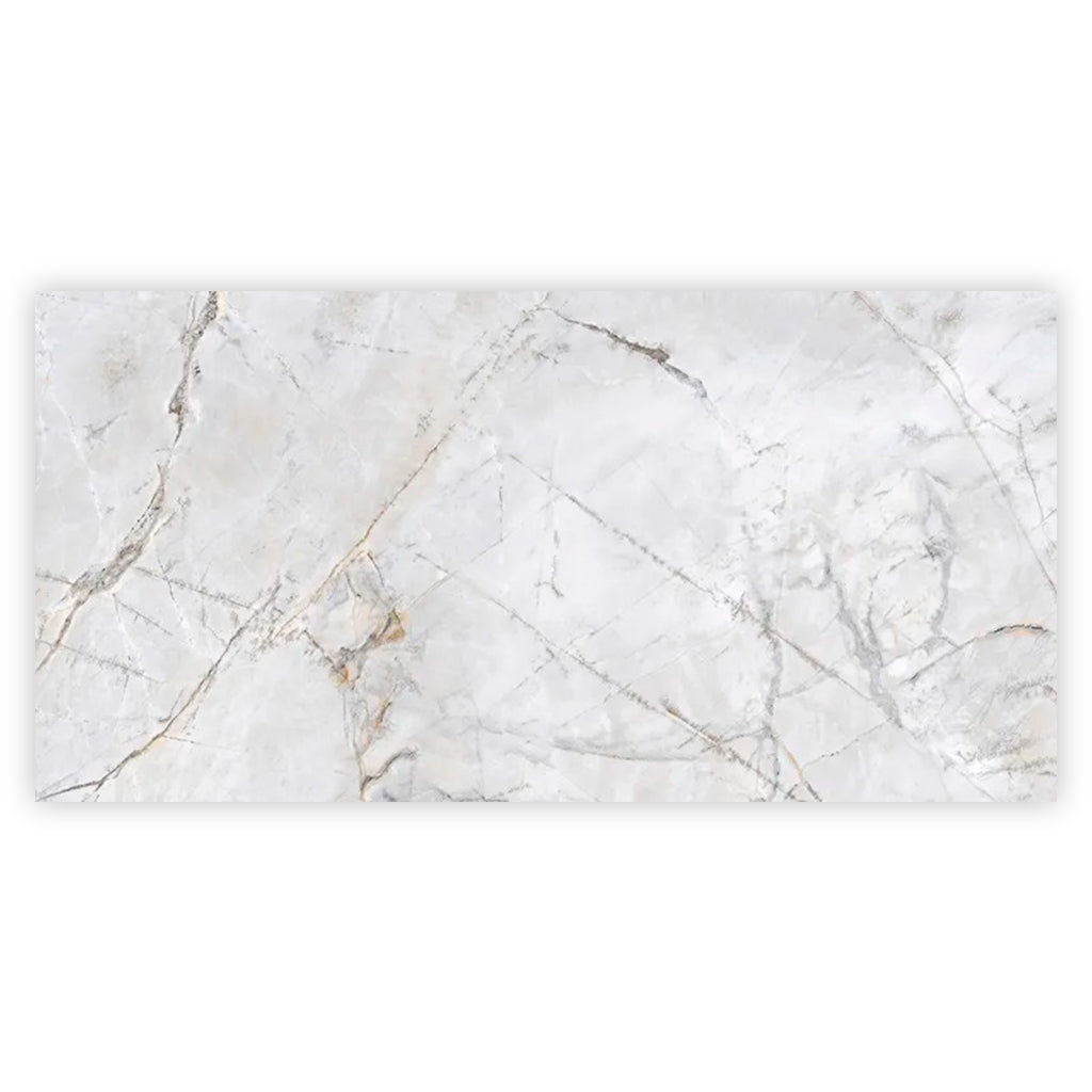 Pale Gray 24x48 Polished Porcelain Large Format Tile (2 pack, 15.5 sq ft/case) - Sample