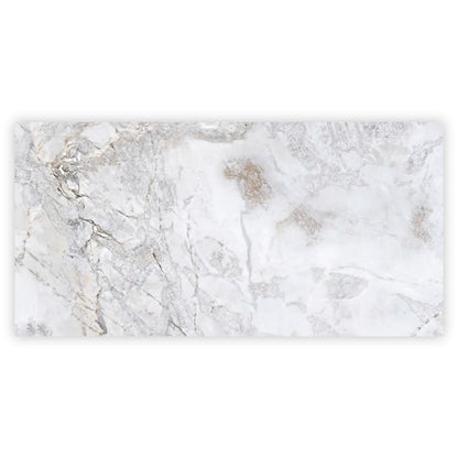 Pale Gray 24x48 Polished Porcelain Large Format Tile (2 pack, 15.5 sq ft/case) - Sample