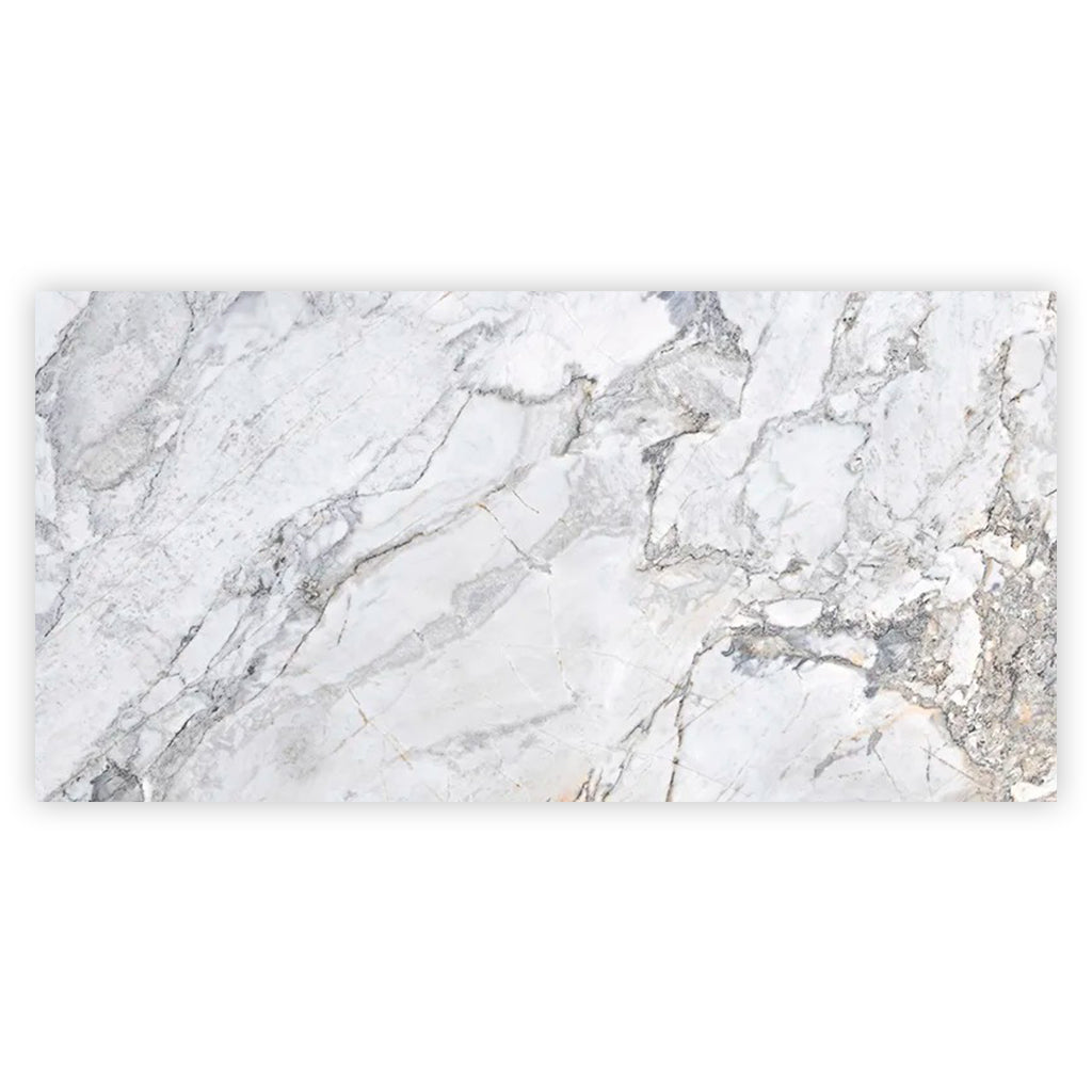 Pale Gray 24x48 Polished Porcelain Large Format Tile (2 pack, 15.5 sq ft/case) - Sample