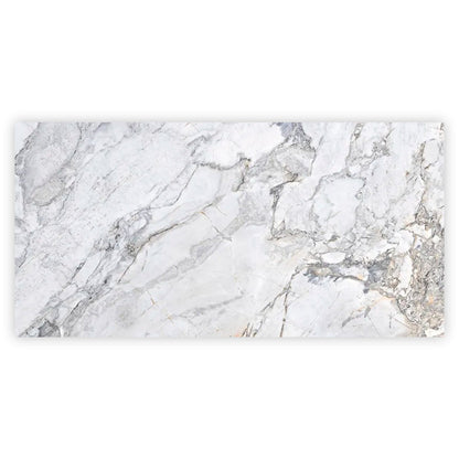 Pale Gray 24x48 Polished Porcelain Large Format Tile (2 pack, 15.5 sq ft/case) - Sample