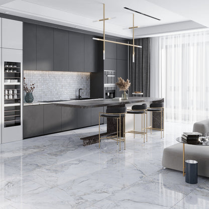 Pale Gray 24x48 Polished Porcelain Large Format Tile (2 pack, 15.5 sq ft/case)