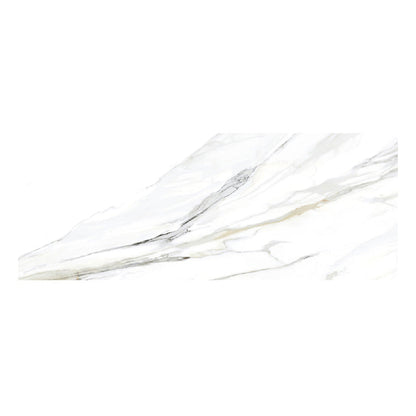 White 24x48 Matte Field Porcelain Tile (2 pack, 15.48 sq ft/case) - Sample