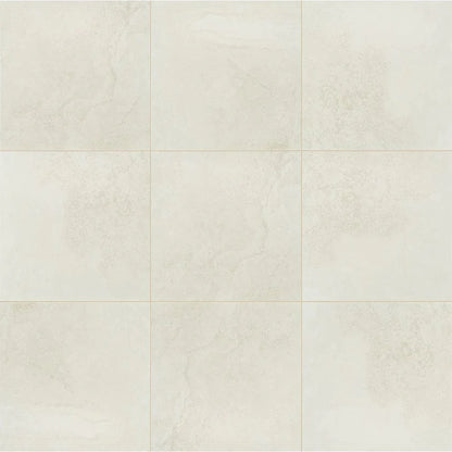 MSI Legend White Porcelain Wall and Floor Tile