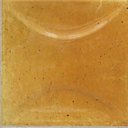 Honey Orange 4x4 Glossy Ceramic Square Deco Tile (50 pack, 5.39 sq ft/case)