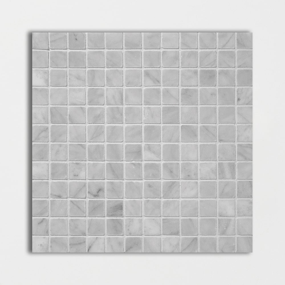 Carrara T Honed 1x1 Marble Mosaic
