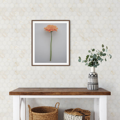 Calacatta Cremo Honed Hexagon Marble Mosaic