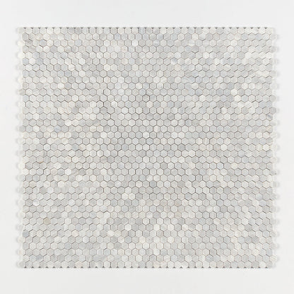 Carrara T Honed Hexagon 1x1 Marble Mosaic