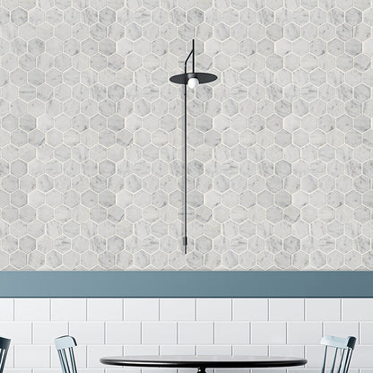 Italian Carrara Honed Hexagon Marble Mosaic