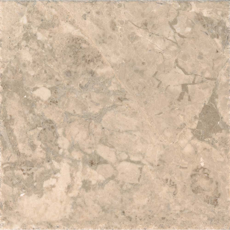 MSI Crema Cappuccino Honed Marble French Pattern Set