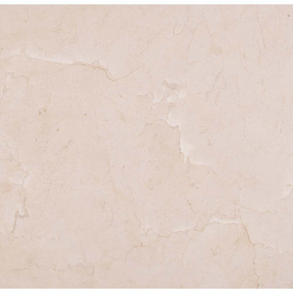 MSI Crema Marfil Classic Marble Wall and Floor Tile 18"x18"