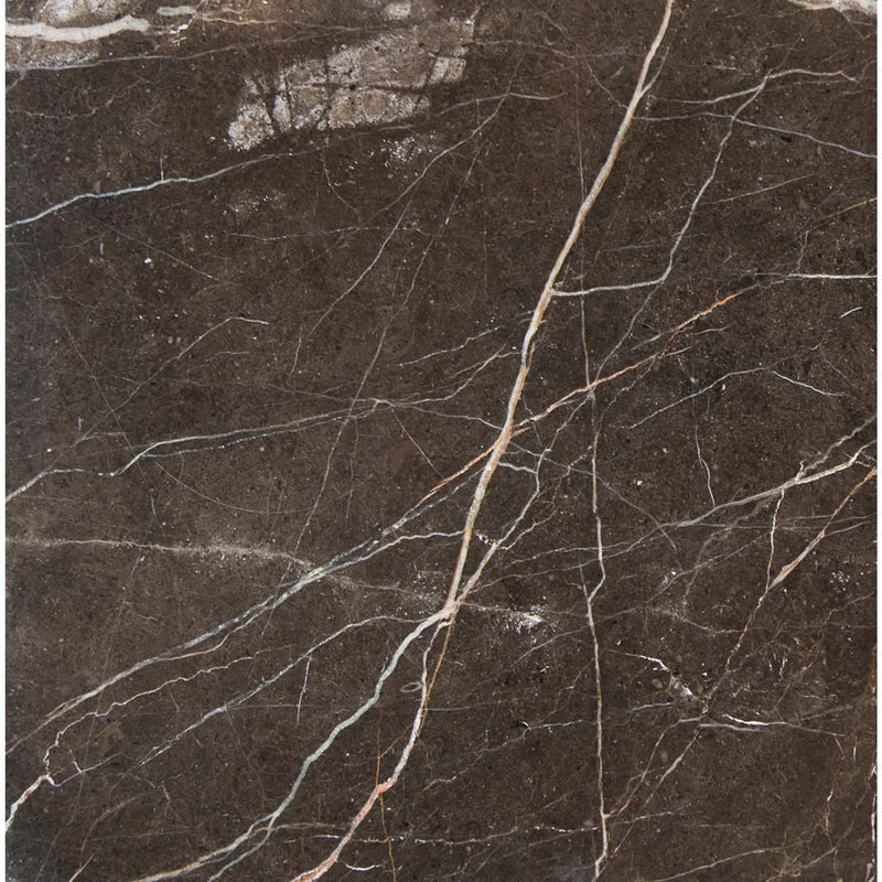 MSI Laurent brown 12 in x 12 in polished marble floor and wall tile TCLAUBRN1212 detail view