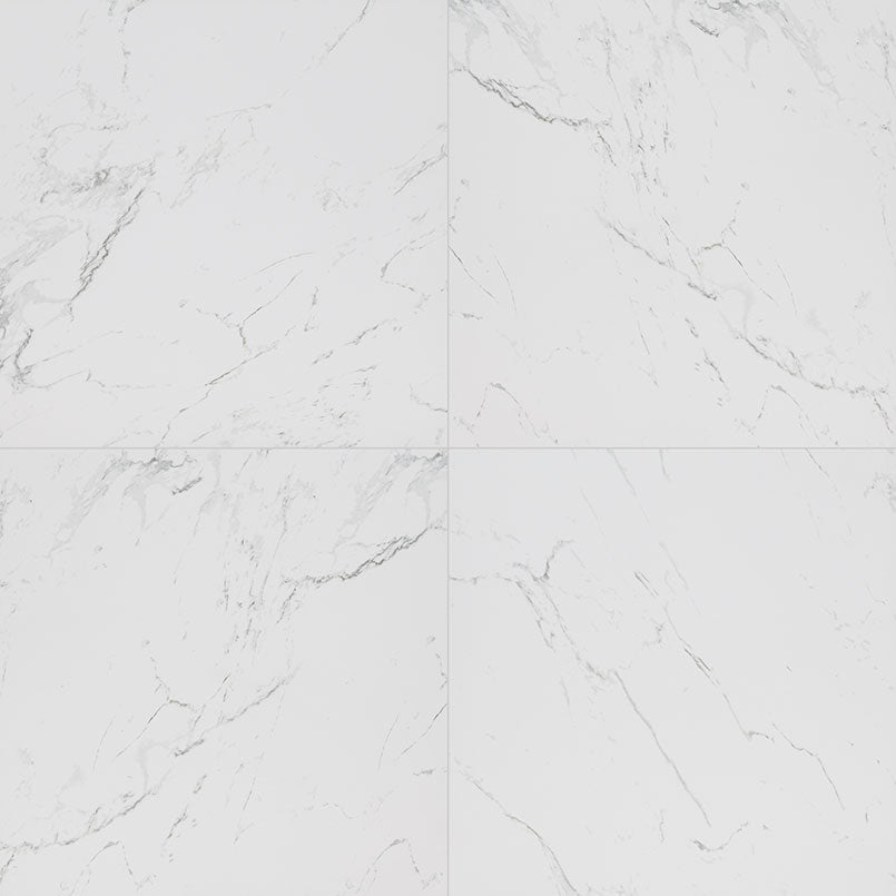 MSI Carrara Porcelain Wall and Floor Tile - Pietra Collection