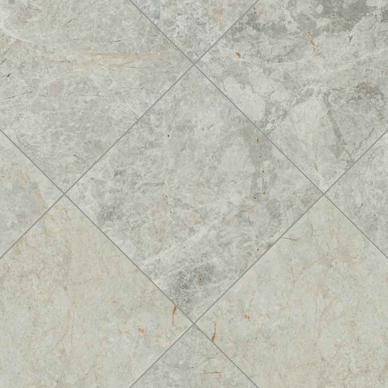 MSI Tundra Gay Polished Marble Wall and Floor Tile