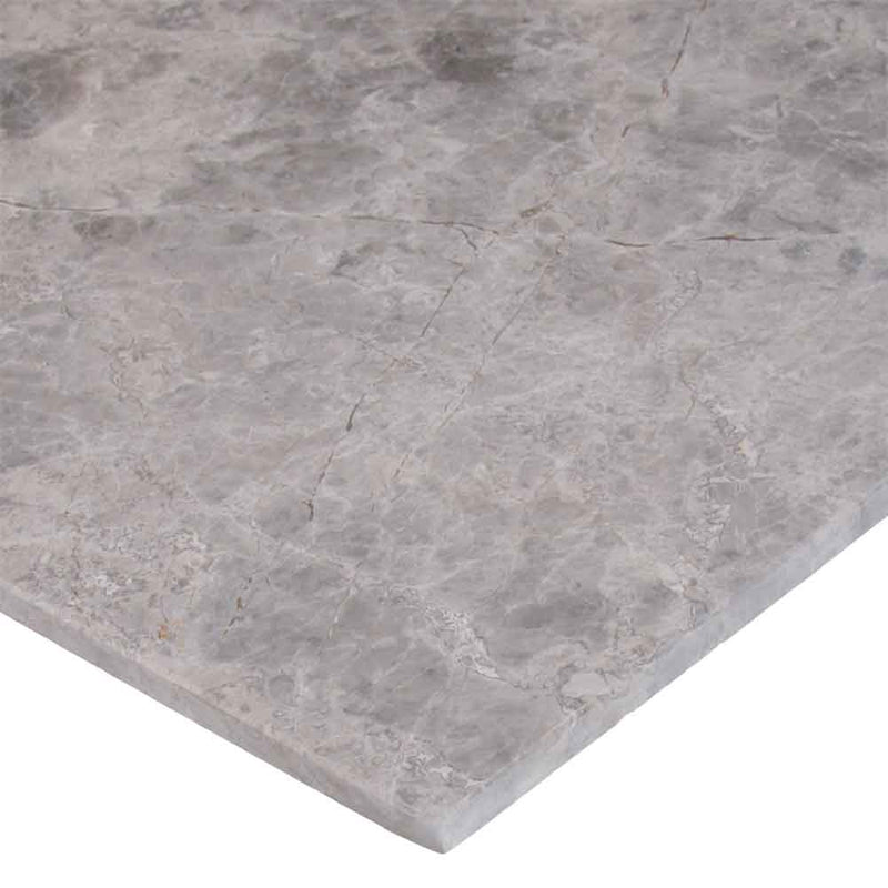 MSI Tundra Gay Polished Marble Wall and Floor Tile