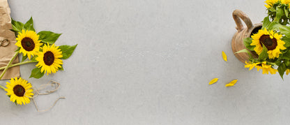MSI Vena Carbona® Premium Quartz Prefabricated Countertop - Island