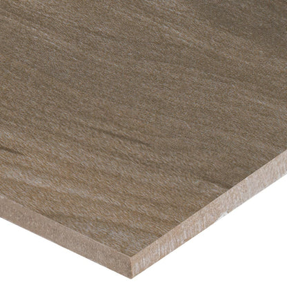 MSI Carolina Timber II Porcelain Wall and Floor Tile