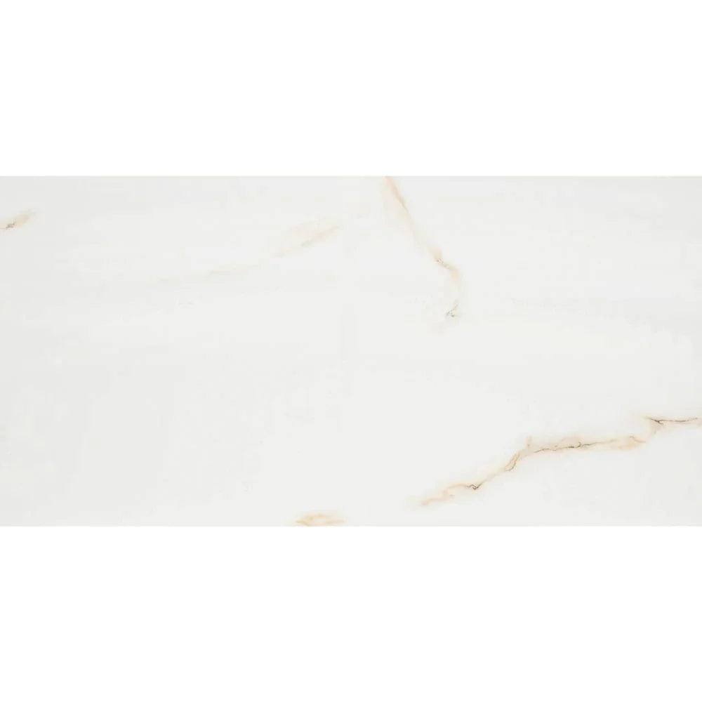 MSI Aria Bianco Porcelain Wall and Floor Tile