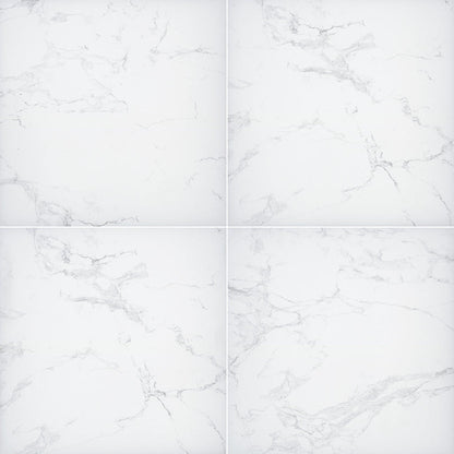 MSI-arterra-praia-carrara-matte-rectified-antislip-porcelain-pavers-24x24x0.79-LPAVNPRACAR2424-N