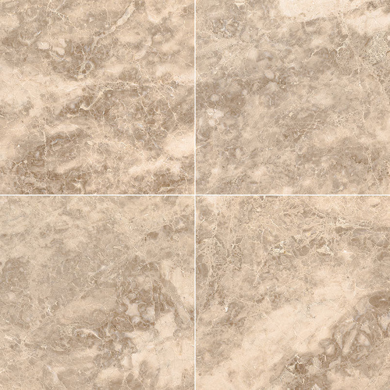 MSI Crema Cappuccino Polished Marble Wall and Floor Tile 18"x18"