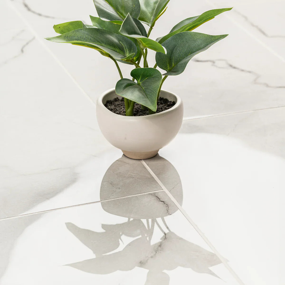 MSI Brighton Grey Porcelain Wall and Floor Tile 24"x48"