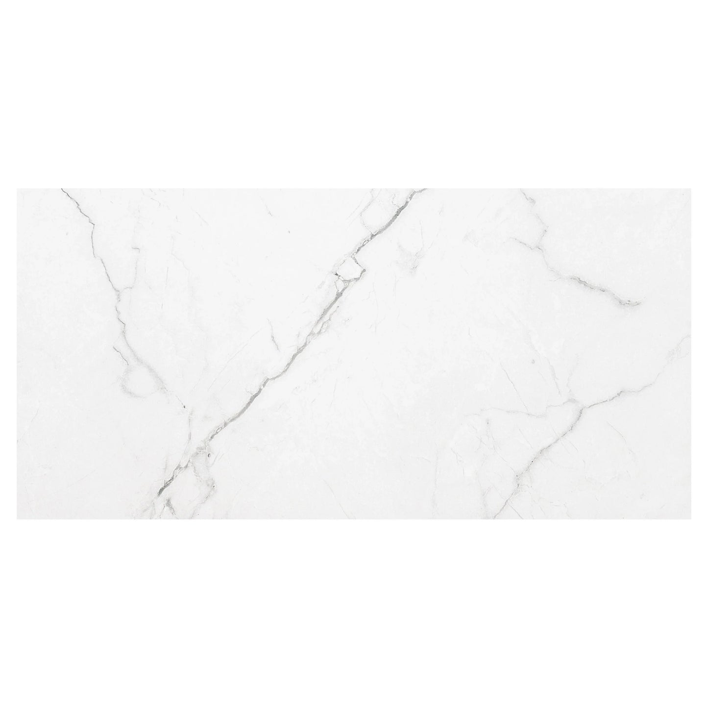 MSI Brighton Grey Porcelain Wall and Floor Tile 24"x24"