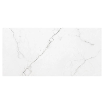 MSI Brighton Grey Porcelain Wall and Floor Tile 24"x24"