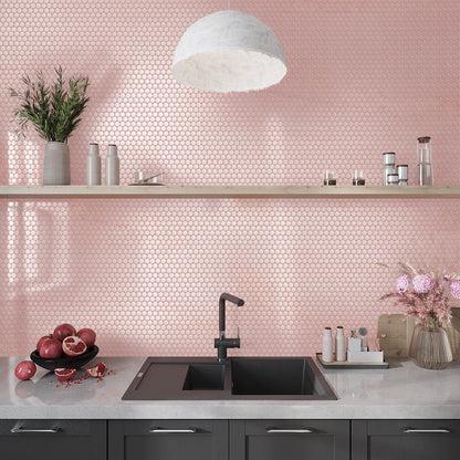 Nude Pink 12x12 Glossy Penny Round Porcelain Mosaic Tile (10 pack, 9.87 sq ft/case) - Sample