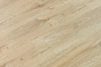 Oyster Textured/EIR 6.61"x72.83" Laminate Flooring 12mm - Simple Tan