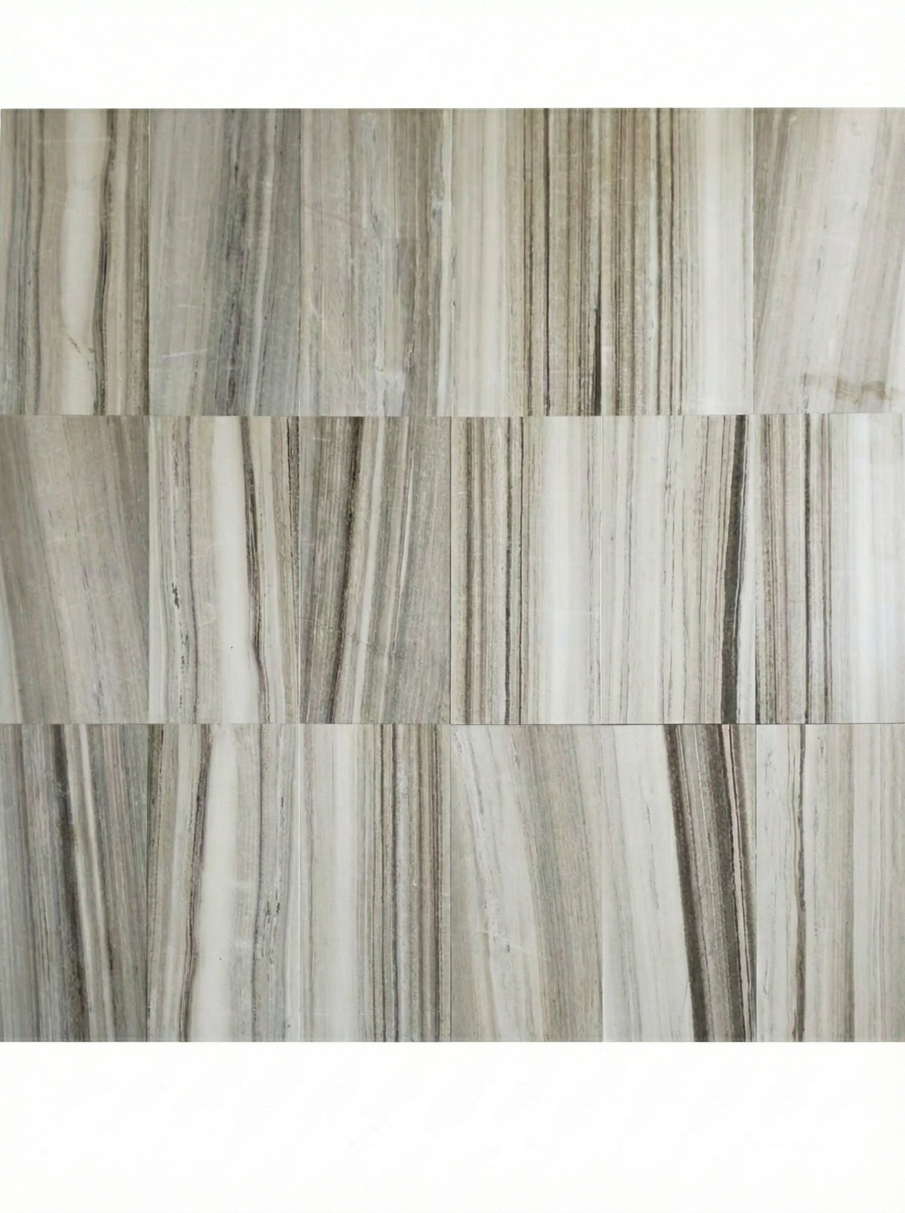 Patterned tile with a neutral color scheme on a white background Palissandro 12"x24" Polished Marble Tiles