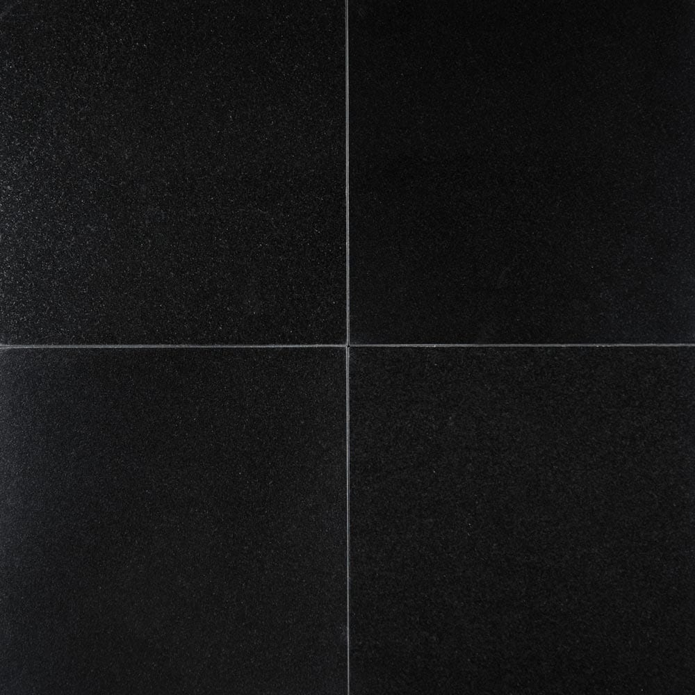 MSI Premium Black Granite Wall and Floor Tile