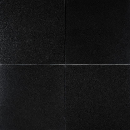 MSI Premium Black Granite Wall and Floor Tile