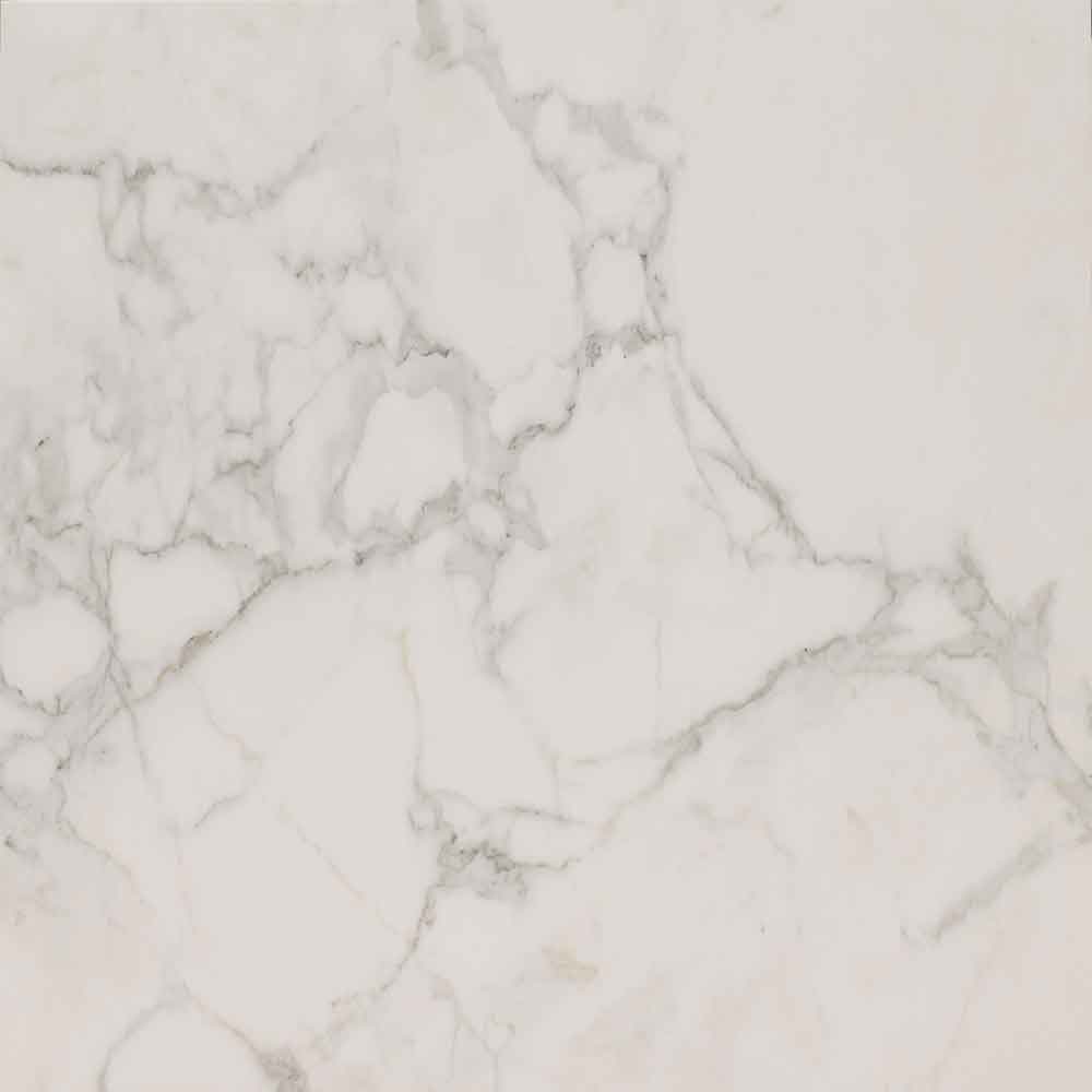 MSI Calacatta Isla Porcelain Wall and Floor Tile - Regallo Collection