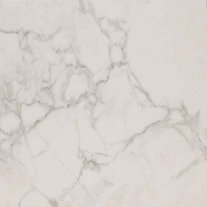 MSI Calacatta Isla Porcelain Wall and Floor Tile - Regallo Collection