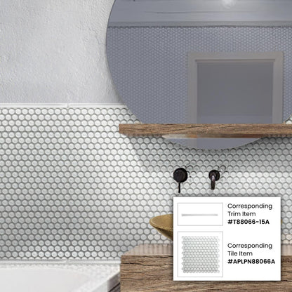 White 12x12 Glossy Penny Round Glass Mosaic Tile (5 pack, 5 sq ft/case)