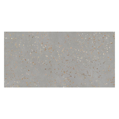 Warm Gray with Gold Flecks 24x48 Polished Square Porcelain Large Format Tile (2 pack, 15.49 sq ft/case)