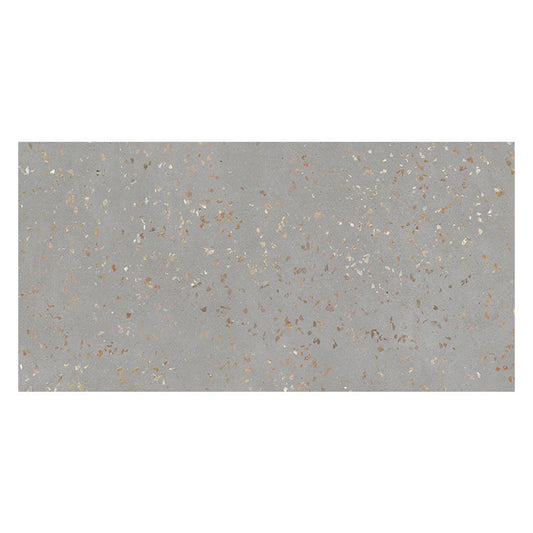 Warm Gray with Gold Flecks 24x48 Polished Square Porcelain Large Format Tile (2 pack, 15.49 sq ft/case) - Sample