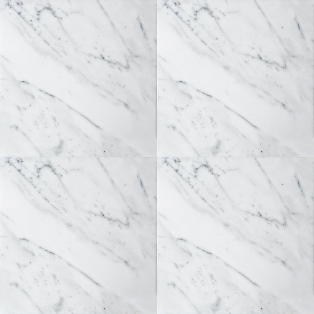 Statuarietto Polished Marble Tile