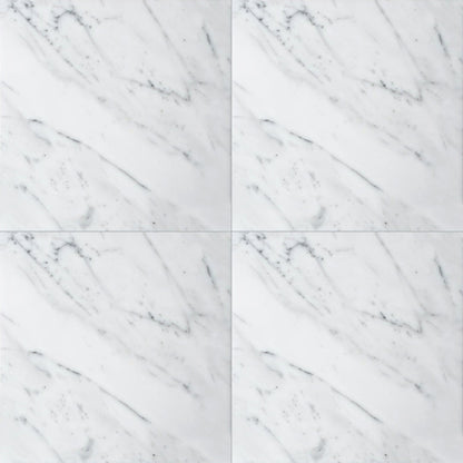 Statuarietto Polished Marble Tile