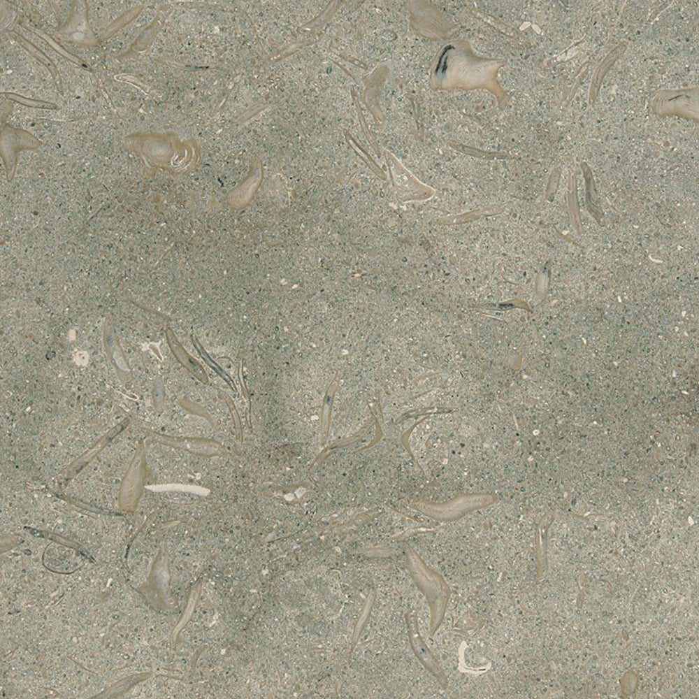 Seagrass Honed Limestone Tile