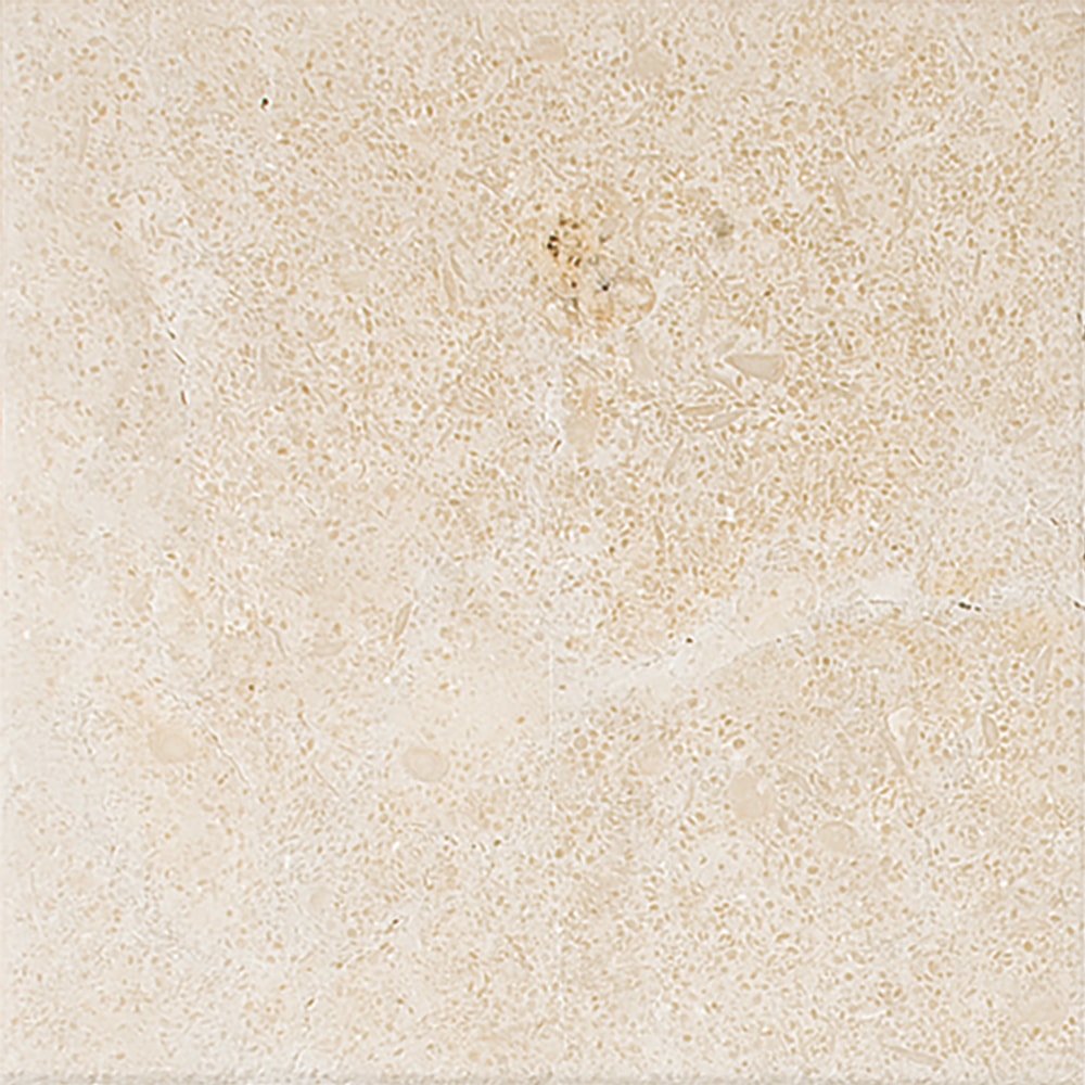 Jerusalem Honed Limestone Tile