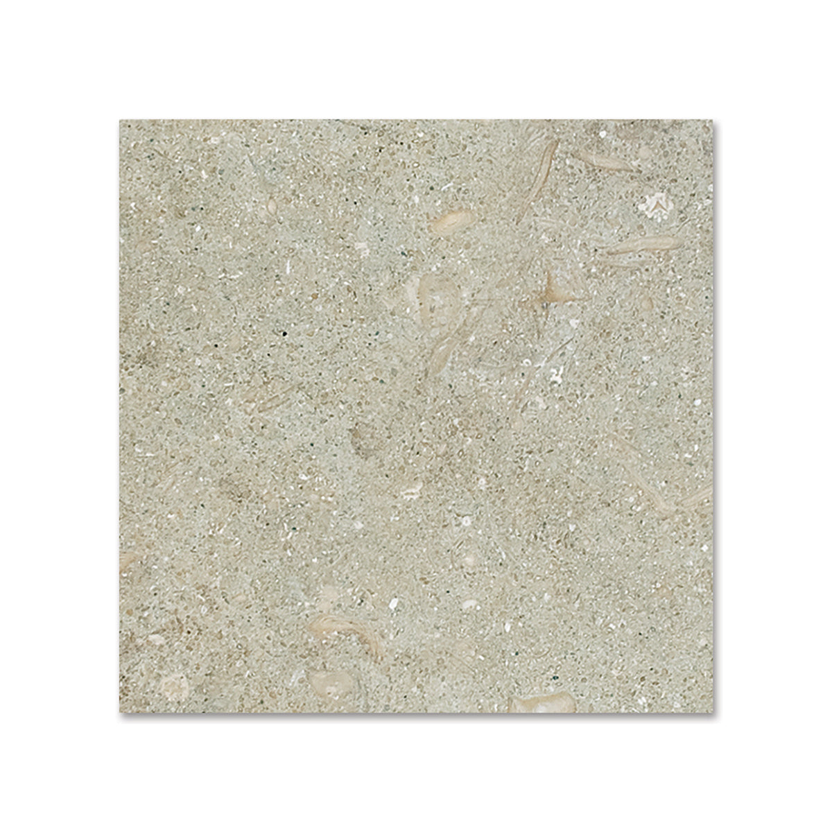 Seagrass Honed Limestone Tile