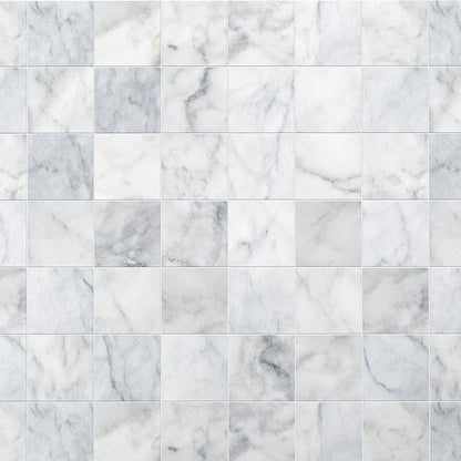Carrara T Honed Marble Tile