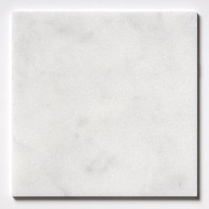 Calacatta T Honed Marble Tile