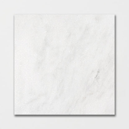 Calacatta T Honed Marble Tile