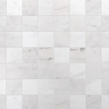 Calacatta T Honed Marble Tile